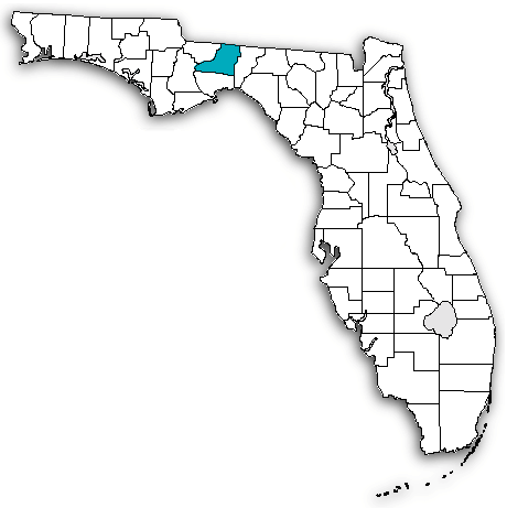 Leon County on map